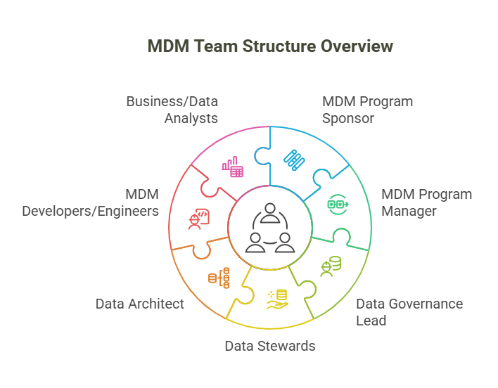 Key Roles in an MDM Team Structure - visual selection