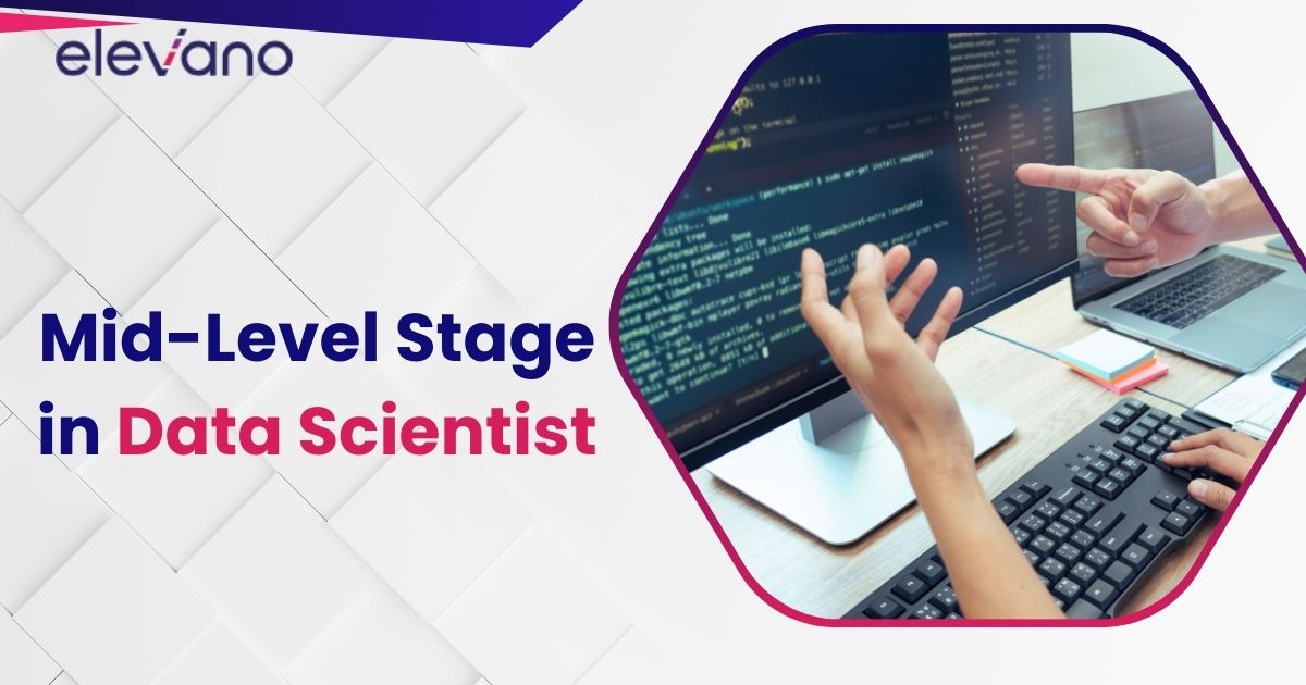 Mid-Level Stage in Data Scientist Career Progression
